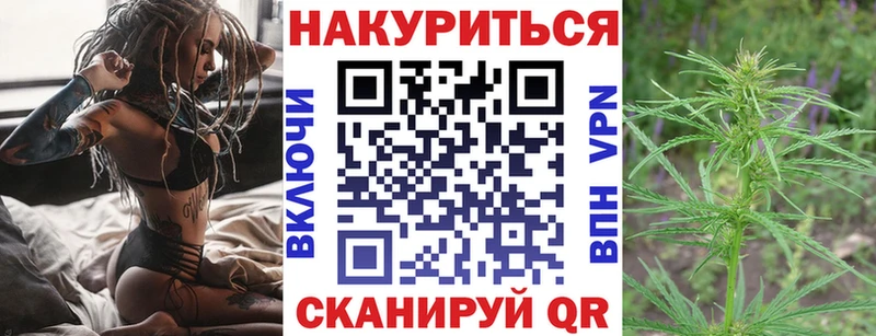 где можно купить   Кущёвская  Каннабис тримм 